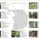 (숲치유) 29. 산림욕의 흥미를 더하는 방법 이미지