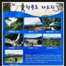 상천목장 이미지