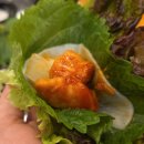 오늘도닭갈비충북