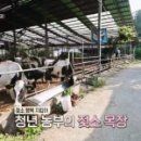 칠악골목장 이미지