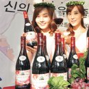 지에스25 문화일보