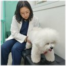 사랑으로 동물병원 이미지