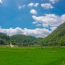 큰맘할매순대국 영월남면점 이미지