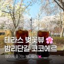 스트릿츄러스일산 | [고양 일산] 코코에르 | 앉아서 즐기는 숨은 벚꽃 명소 밤리단길 테라스 카페 🌸