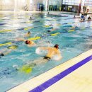 국민체육센터 수영장 이미지