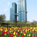 강변북로2 이미지