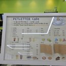 애견카페 애견유치원 펫레터 이미지