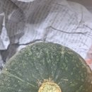 통큰농산물