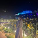 공주 미르섬 축제 백제문화제 불꽃 야시장 후기