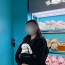 땡큐 베리 도그 | [성수] 젤리캣 스페이스 팝업스토어 주말 방문, 애착인형 구매 후기