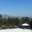 하늘내린강산 이미지