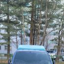 개인화물3050 | 1톤 영업용번호판시세 및 매입후기