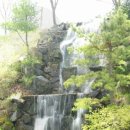 백담폭포횟집 이미지