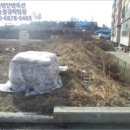 초중리 633 네이버블로그