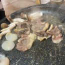 나드리 애견 이미지