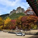 (주)대전사 이미지