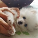 지인동물약품 이미지