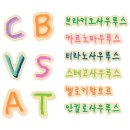 (주) 플레이런 이미지