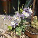 경북지업사 이미지