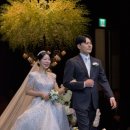 호텔 ICC | 대전 ICC호텔 웨딩홀 아이폰스냅 촬영후기 | 자연스러운 감성 아이폰스냅