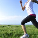 현대체육관 이미지