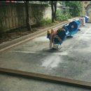 양진초교병설유치원 이미지