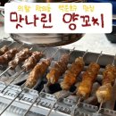맛나린양꼬치백운호수 | [맛나린양꼬치 백운호수점] 의왕 학의동 백운호수 양꼬치 맛집 후기