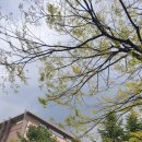 아이큰별어린이집 이미지