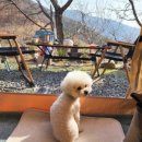 어론목장 이미지