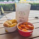 오션파크 | 평창 알펜시아 오션700 워터파크 이용후기