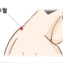 약손경락 이미지
