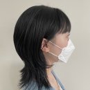 아르브헤어 arvv 이미지