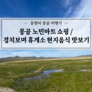 도심을 벗어나 드넓은 초원을 끝도 없이 달리다 / 노민마트 쇼핑 &amp; 몽골휴게소 양고기 요리 후기