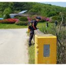 어은1교 이미지