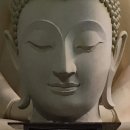 아모르(Amor) 이미지