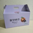 올댓프룻 | 출산 후 간식으로 딱! 올댓프룻 청송 블랙베리 복분자 사과즙 솔직 후기