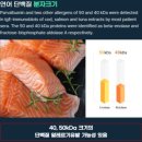 정샘동물병원 이미지