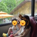 에버랜드 리버트레일 어드벤처