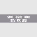 레몬부동산공인중개사사무소 이미지