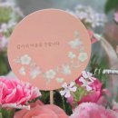 플로레리아 이미지