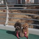 현풍코스 이미지