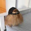 소품사랑