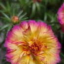 오늘이쁘다 이미지