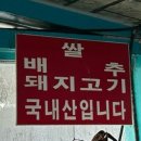 부일기사식당 | 경주 짬뽕 검색해서 나온 남정부일기사식당 가본 후기