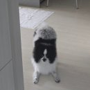 오뚝이식당 이미지