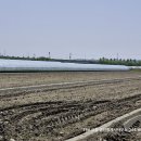 THE오름공인중개사사무소 이미지