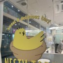 네스티타르트 이미지