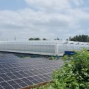 신흥리태양광발전소 이미지