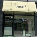 개이뻐 | 다산동애견미용 / 두두의 스파 &amp; 가위컷 후기 [ 개이뻐 ]