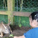 자연학습공원 | 🌿 제주자연생태공원 다녀온 후기 – 아이와 함께한 힐링 여행
